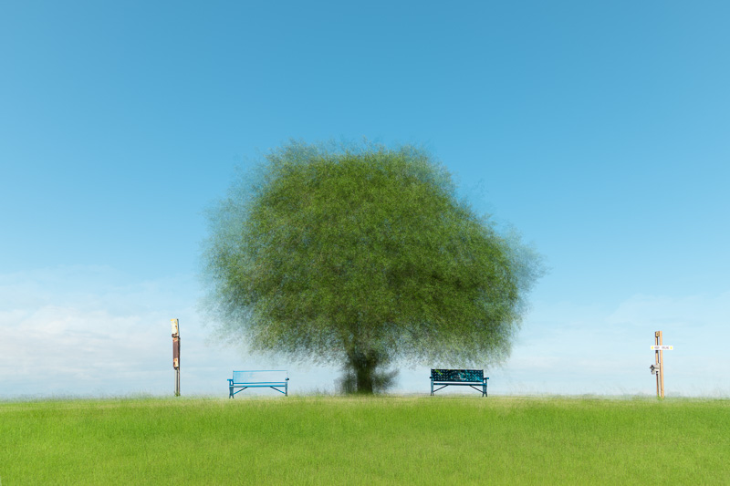 Memory Tree #1, Manitou Beach, Saskatchewan