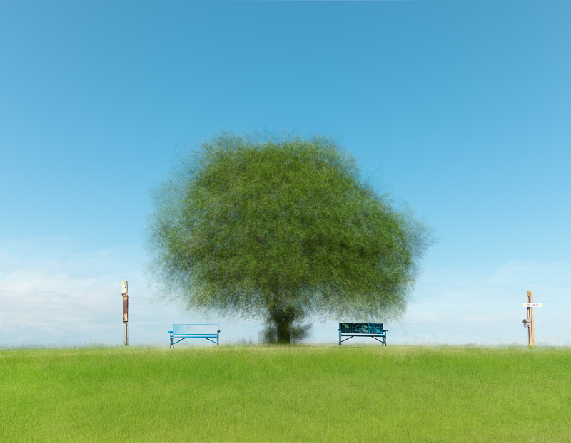 Memory Tree #1, Manitou Beach, Saskatchewan