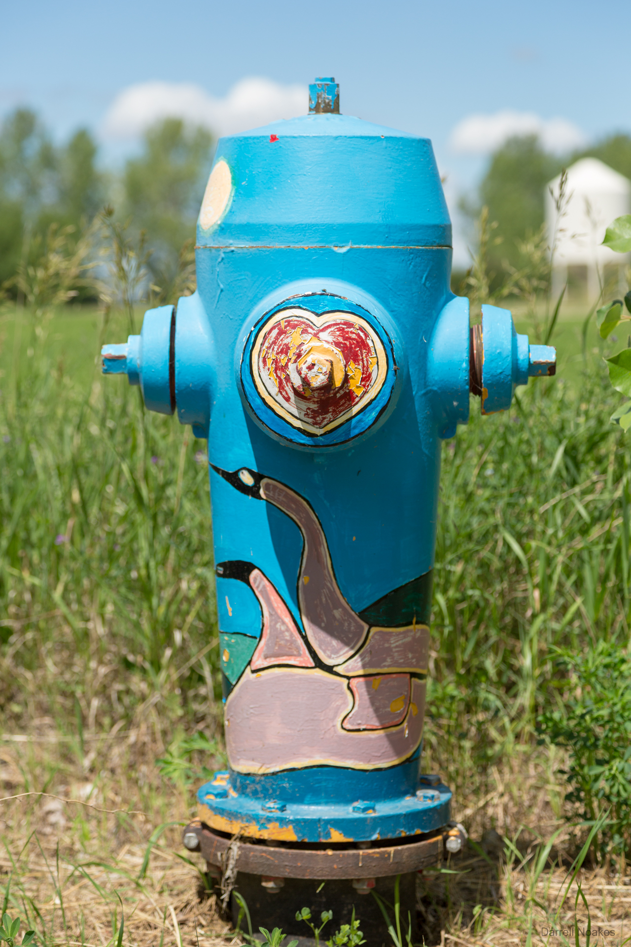 Fire Hydrant, Elbow, Saskatchewan