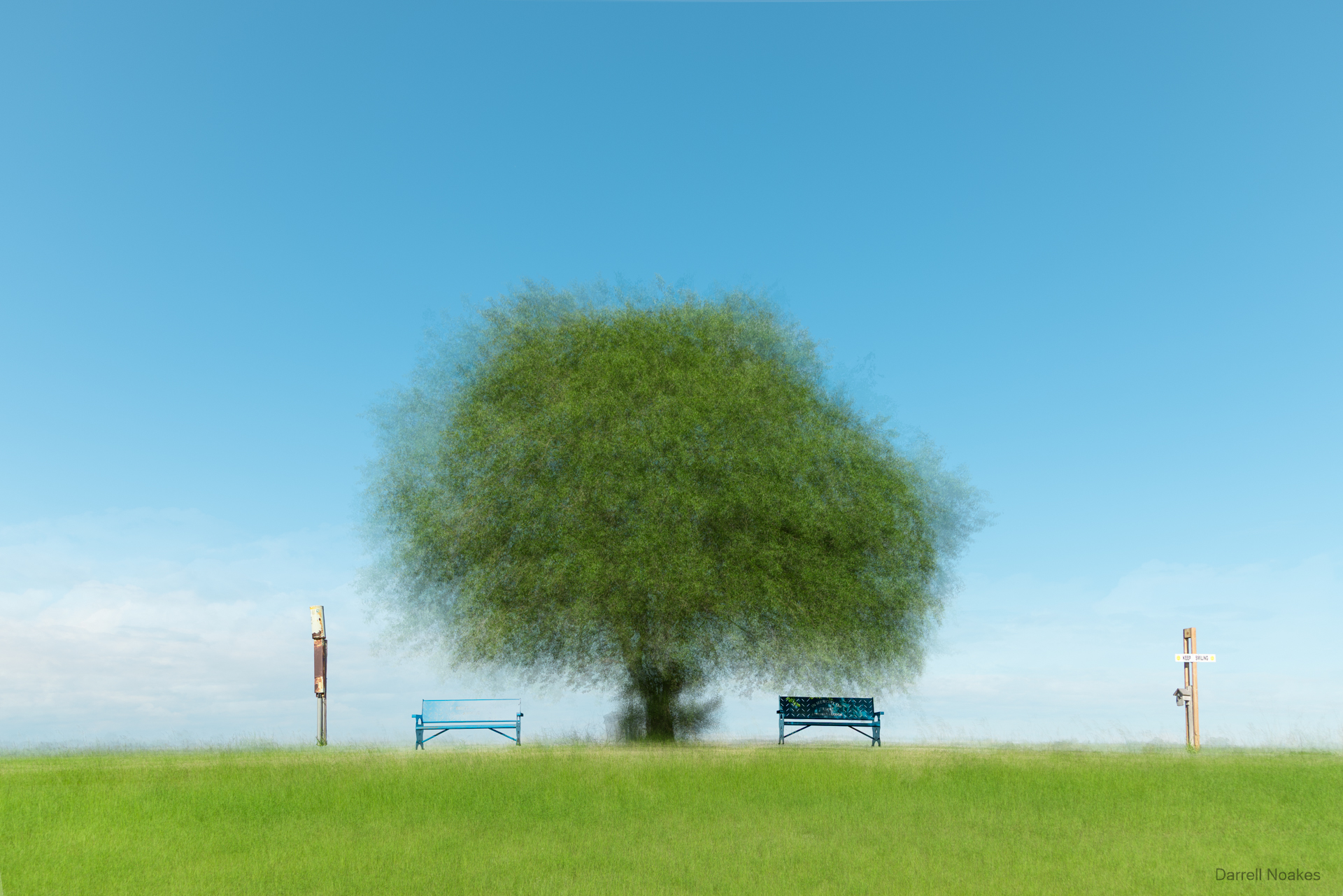 Memory Tree #1