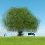 Memory Tree #1