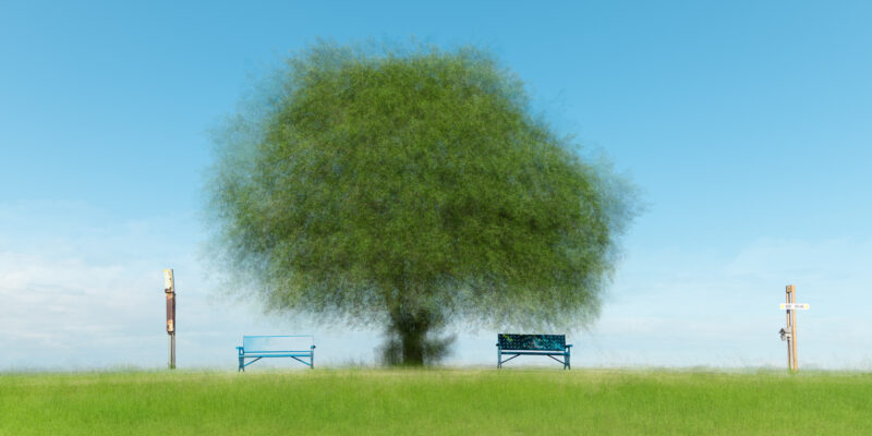 Memory Tree #1